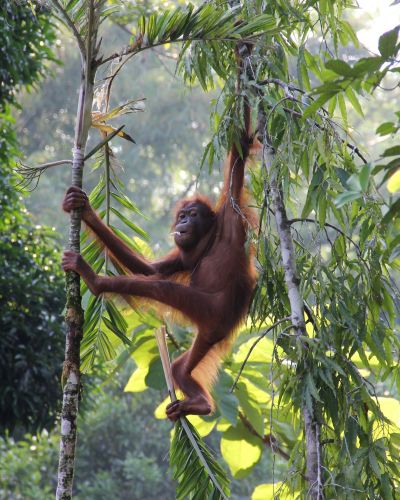Best time to visit Malaysia