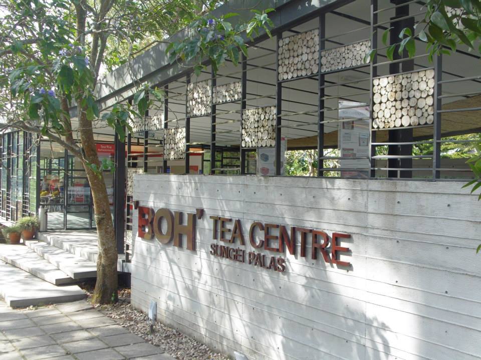 Inside at BOH Tea