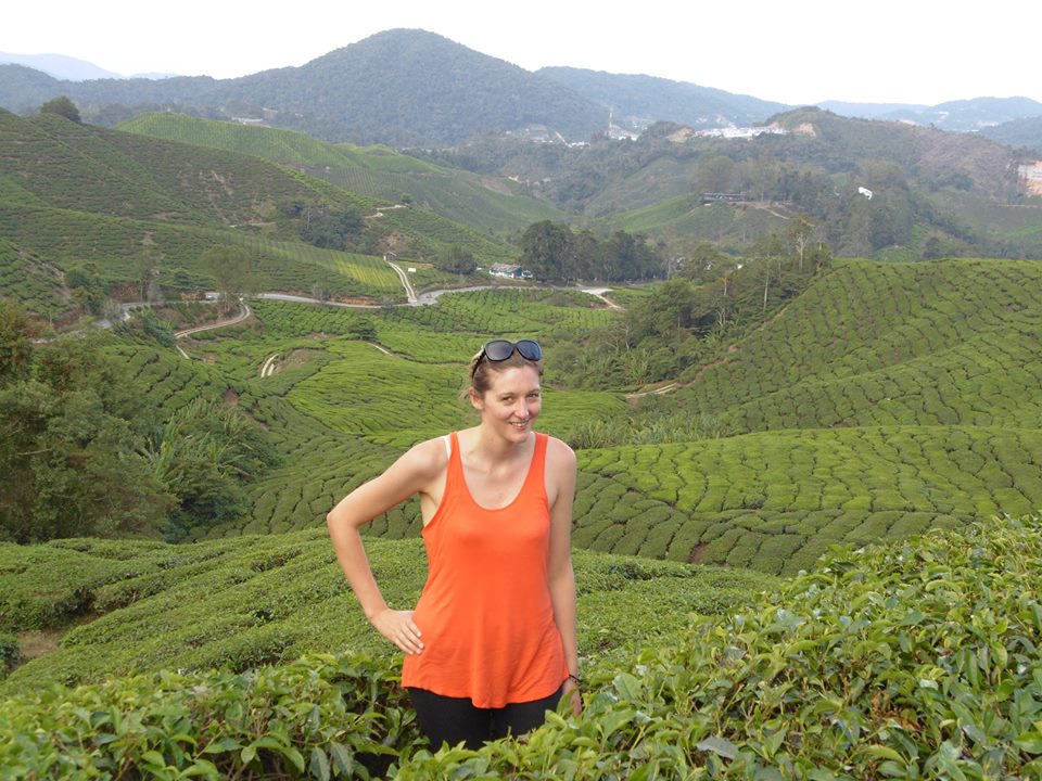View at BOH Tea