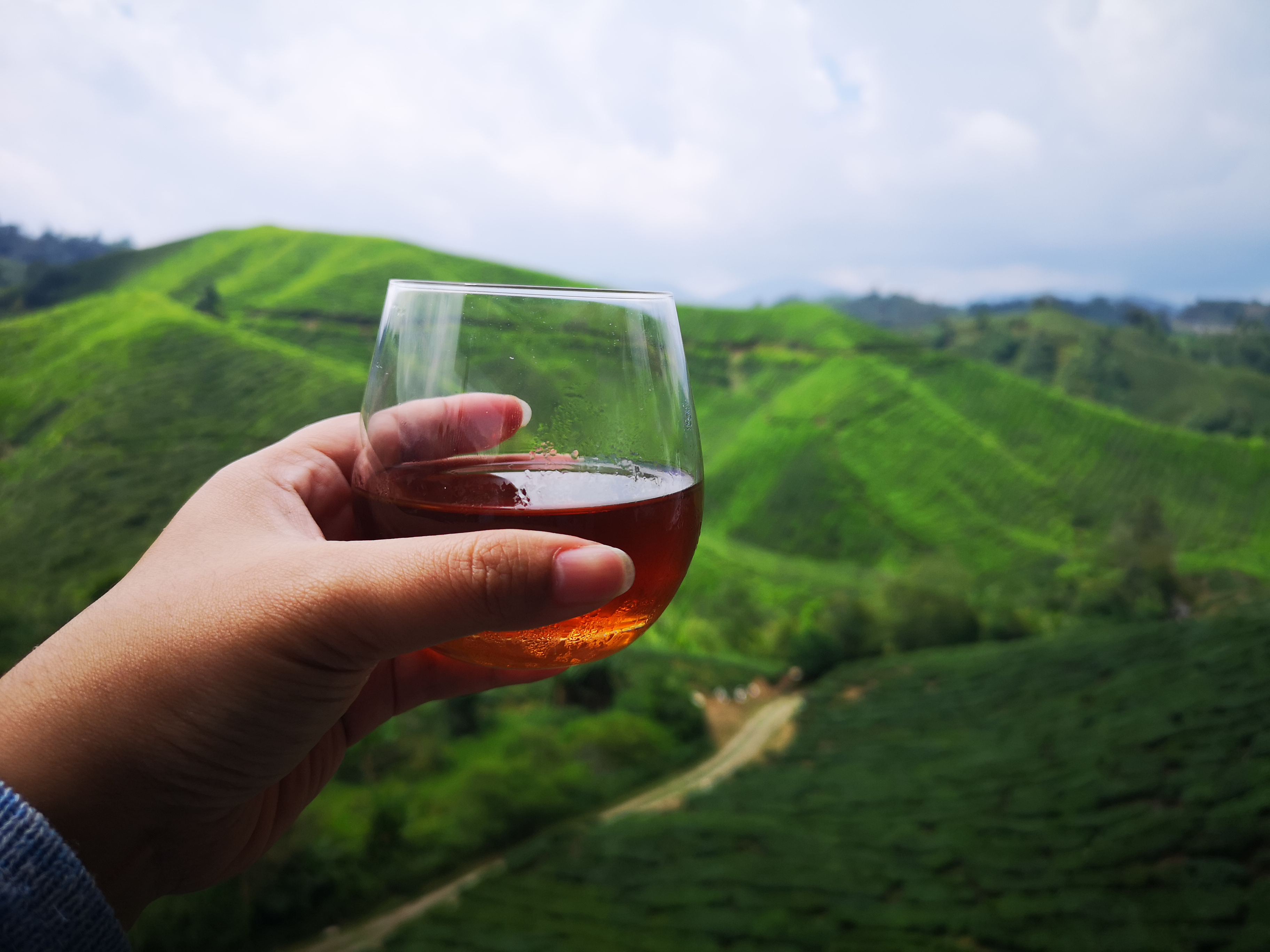BOH Tea
