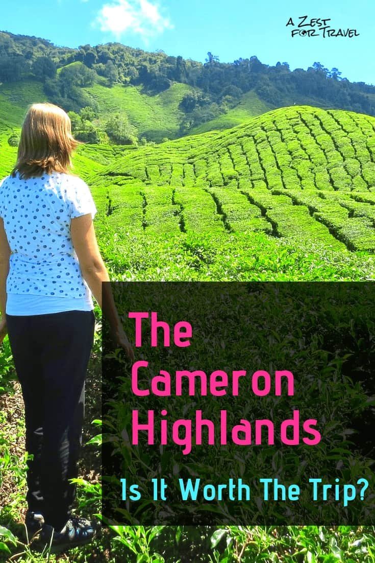 Cameron Highlands Guide