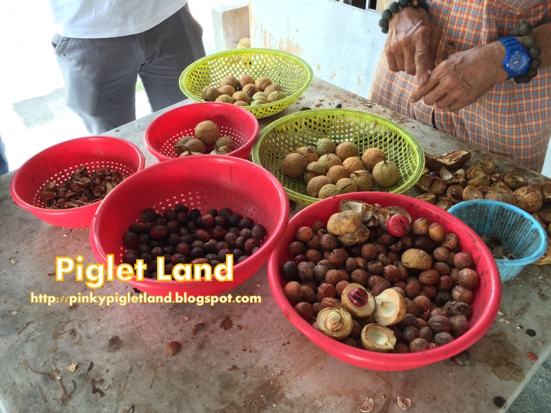 View at Ghee Hup Nutmeg Factory